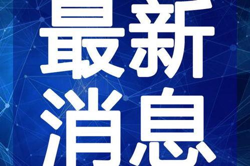 襄阳建桥最新爆料新闻视频,震撼视频曝光！